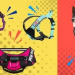 Dog Harness