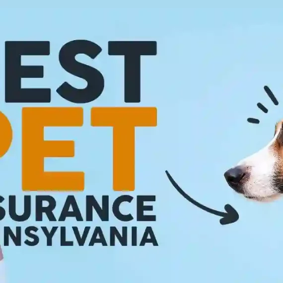 Pet insurance