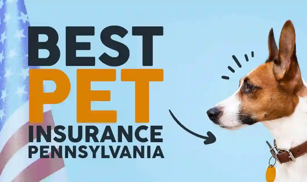 Pet insurance